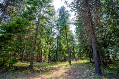 Tiny photo for 1224 MT Hwy 200, Noxon, MT 59853 (MLS # 30076986)
