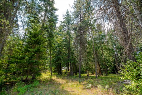 Tiny photo for 1224 MT Hwy 200, Noxon, MT 59853 (MLS # 30076986)