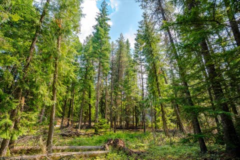 Tiny photo for 1224 MT Hwy 200, Noxon, MT 59853 (MLS # 30076986)