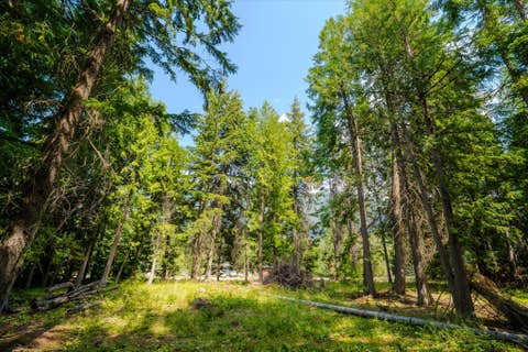 Tiny photo for 1224 MT Hwy 200, Noxon, MT 59853 (MLS # 30076986)