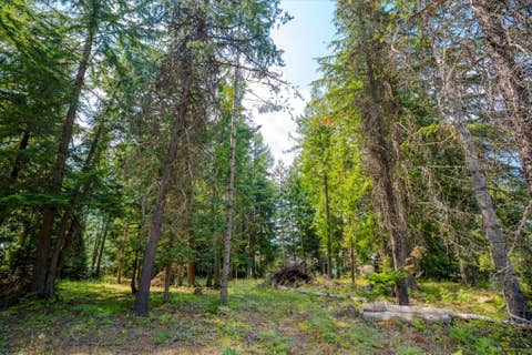 Tiny photo for 1224 MT Hwy 200, Noxon, MT 59853 (MLS # 30076986)