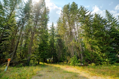 Tiny photo for 1224 MT Hwy 200, Noxon, MT 59853 (MLS # 30076986)