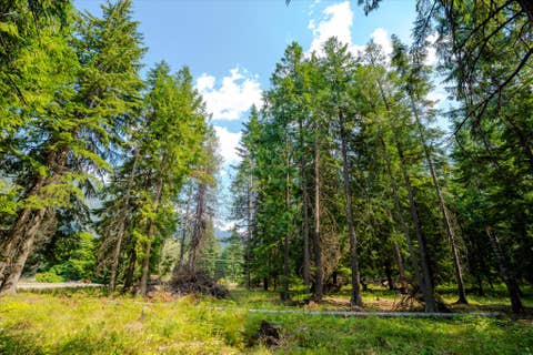 Tiny photo for 1224 MT Hwy 200, Noxon, MT 59853 (MLS # 30076986)