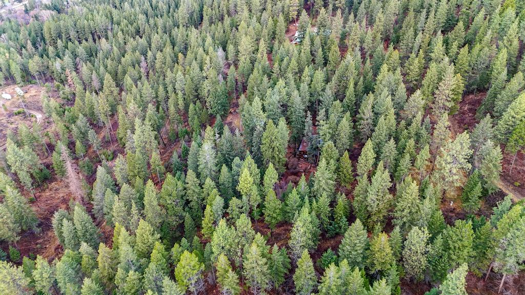 Polson, Montana 59860, United States, 3 Bedrooms Bedrooms, ,2 BathroomsBathrooms,Residential,Active,30079