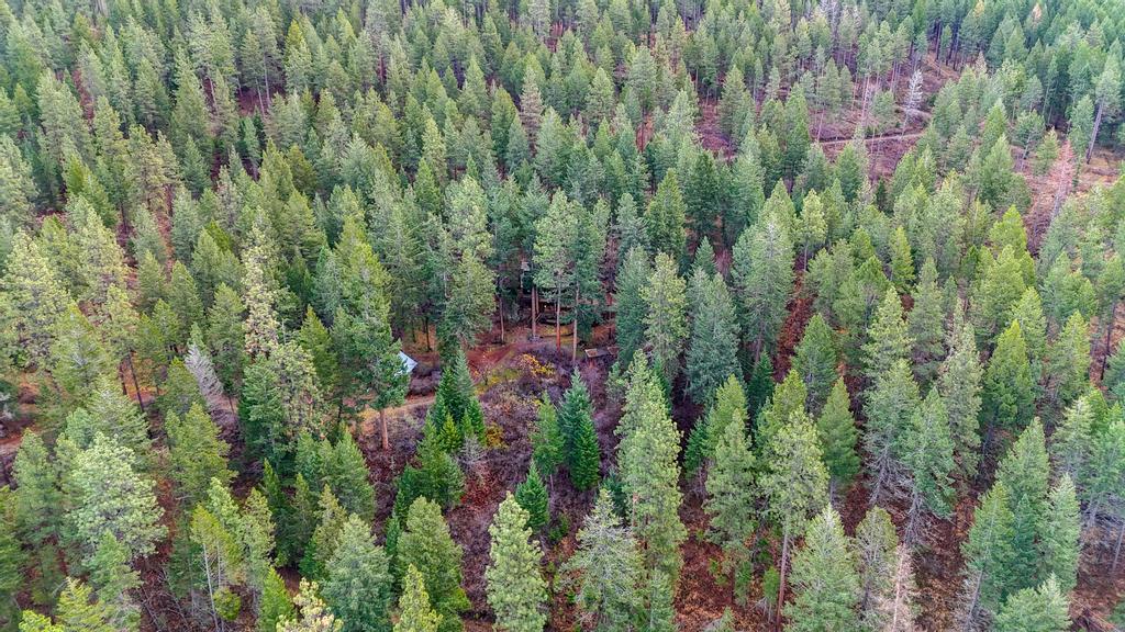 Polson, Montana 59860, United States, 3 Bedrooms Bedrooms, ,2 BathroomsBathrooms,Residential,Active,30079