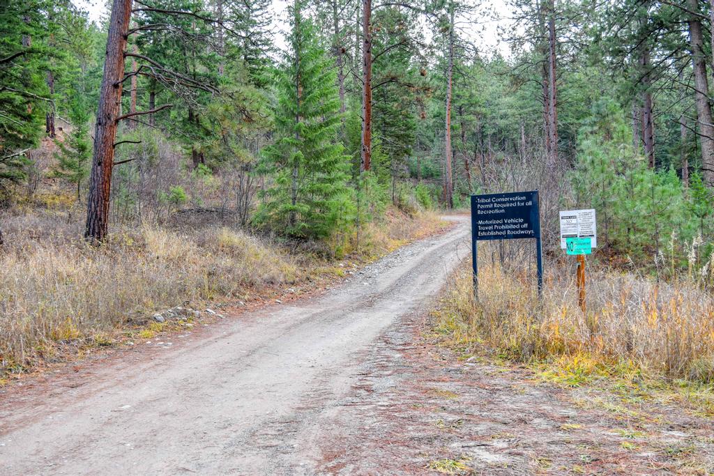 Polson, Montana 59860, United States, 3 Bedrooms Bedrooms, ,2 BathroomsBathrooms,Residential,Active,30079