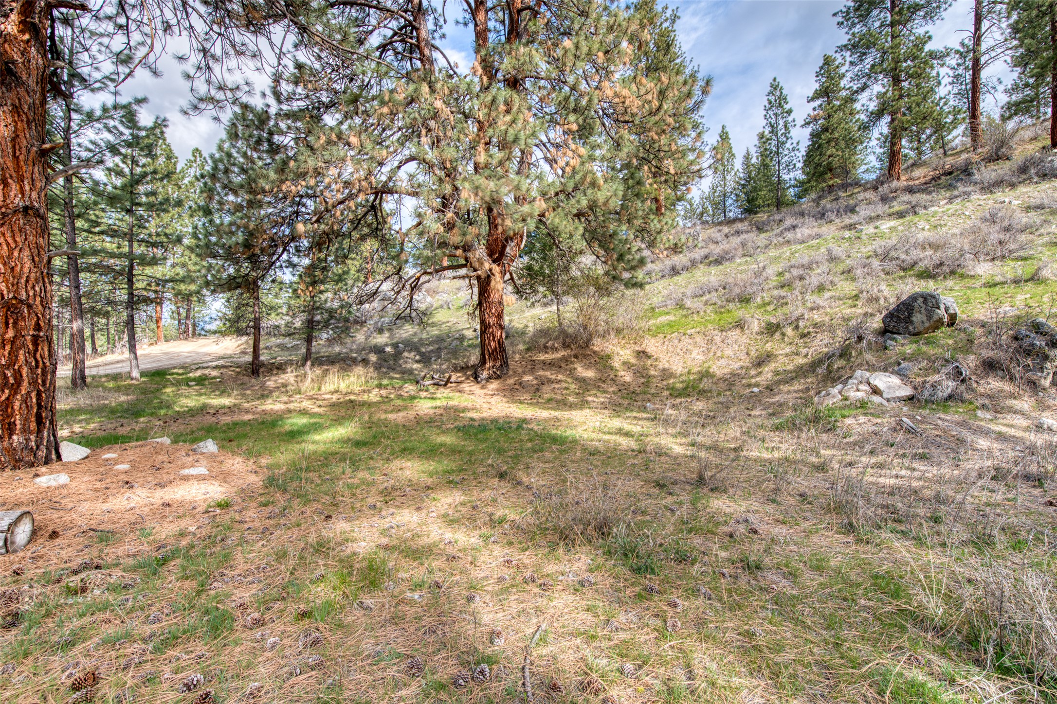 Conner, Montana 59827, United States, 2 Bedrooms Bedrooms, ,3 BathroomsBathrooms,Residential,Active,36917