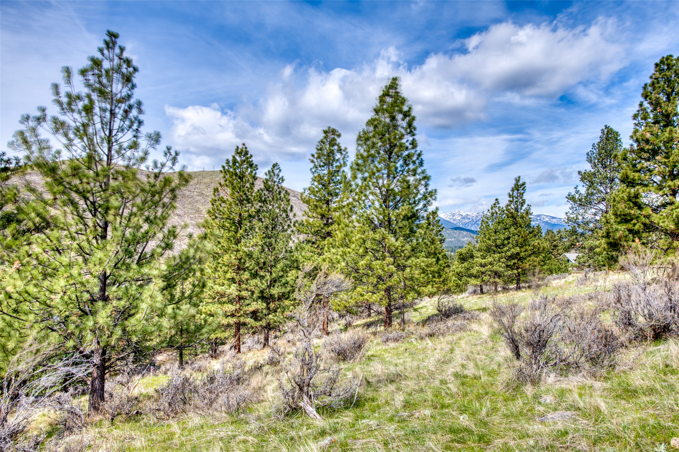 Conner, Montana 59827, United States, 2 Bedrooms Bedrooms, ,3 BathroomsBathrooms,Residential,Active,36917