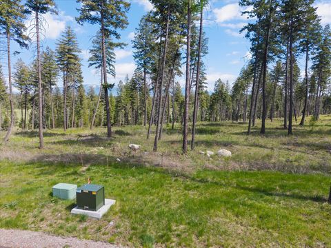 Tiny photo for 245 Layton Road, Whitefish, MT 59937 (MLS # 30070811)