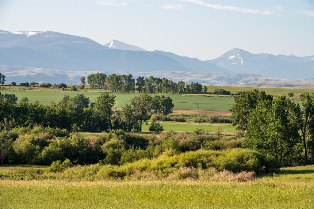 Photo of 164 Pony Road, Harrison, MT 59735 (MLS # 30065810)