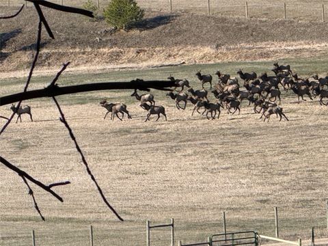 Tiny photo for 31850 Yearling Run, Alberton, MT 59820 (MLS # 30070414)