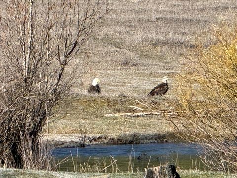 Tiny photo for 31850 Yearling Run, Alberton, MT 59820 (MLS # 30070414)