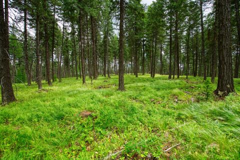 Tiny photo for 142 Rosewood Lane #Lot 18, Whitefish, MT 59937 (MLS # 30053504)