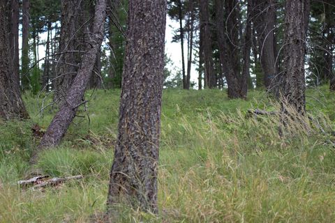 Tiny photo for 142 Rosewood Lane #Lot 18, Whitefish, MT 59937 (MLS # 30053504)