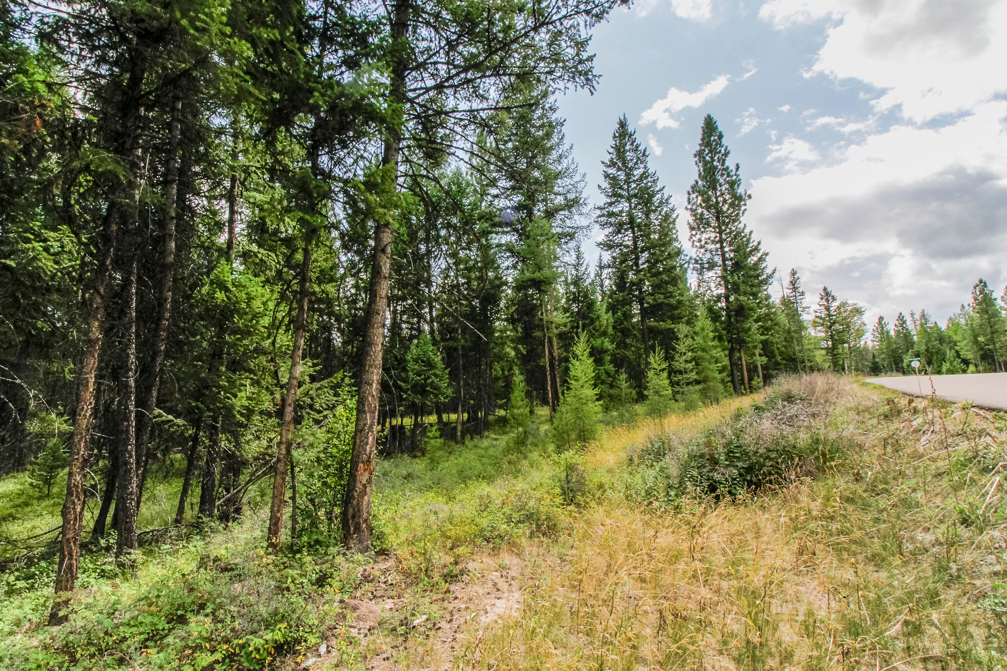 250 Haskill Ranch Road