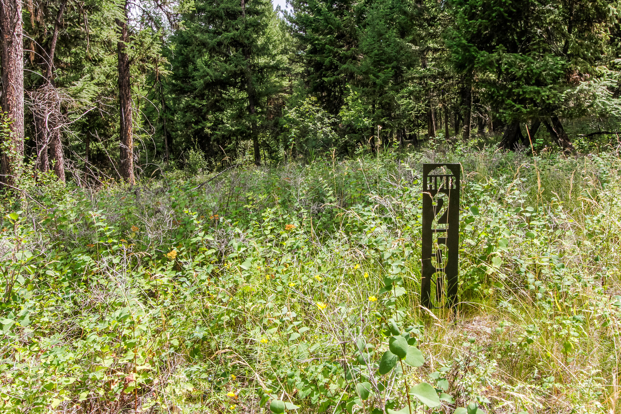 250 Haskill Ranch Road