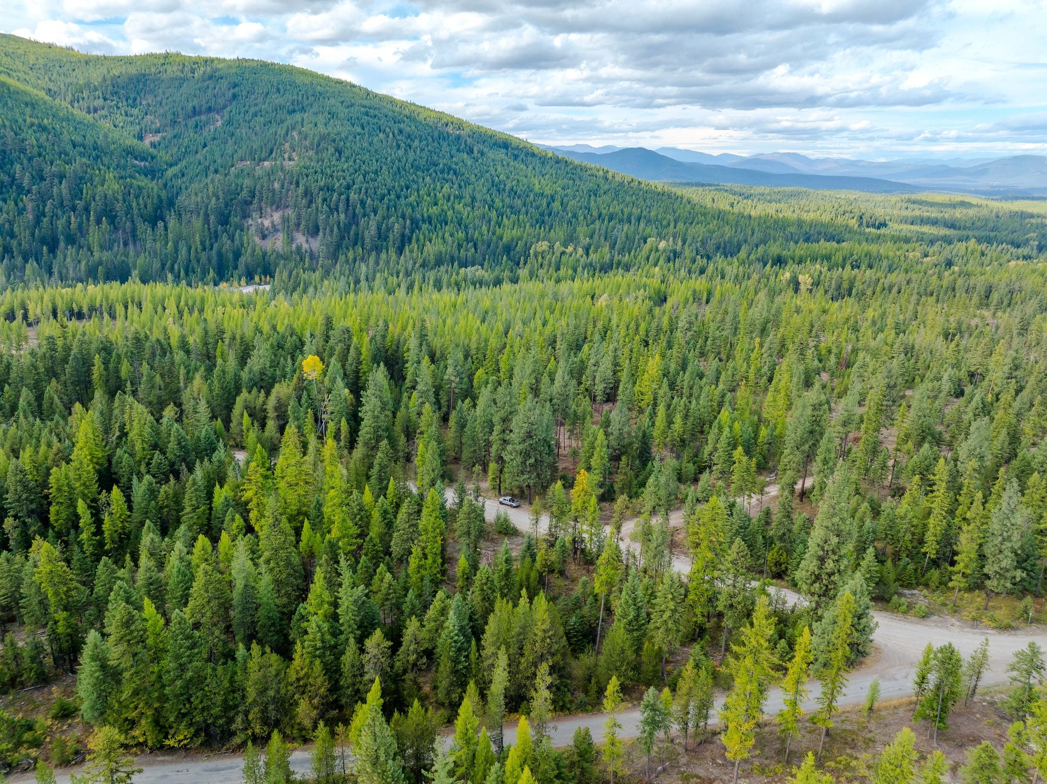 3036 Bear Creek Road