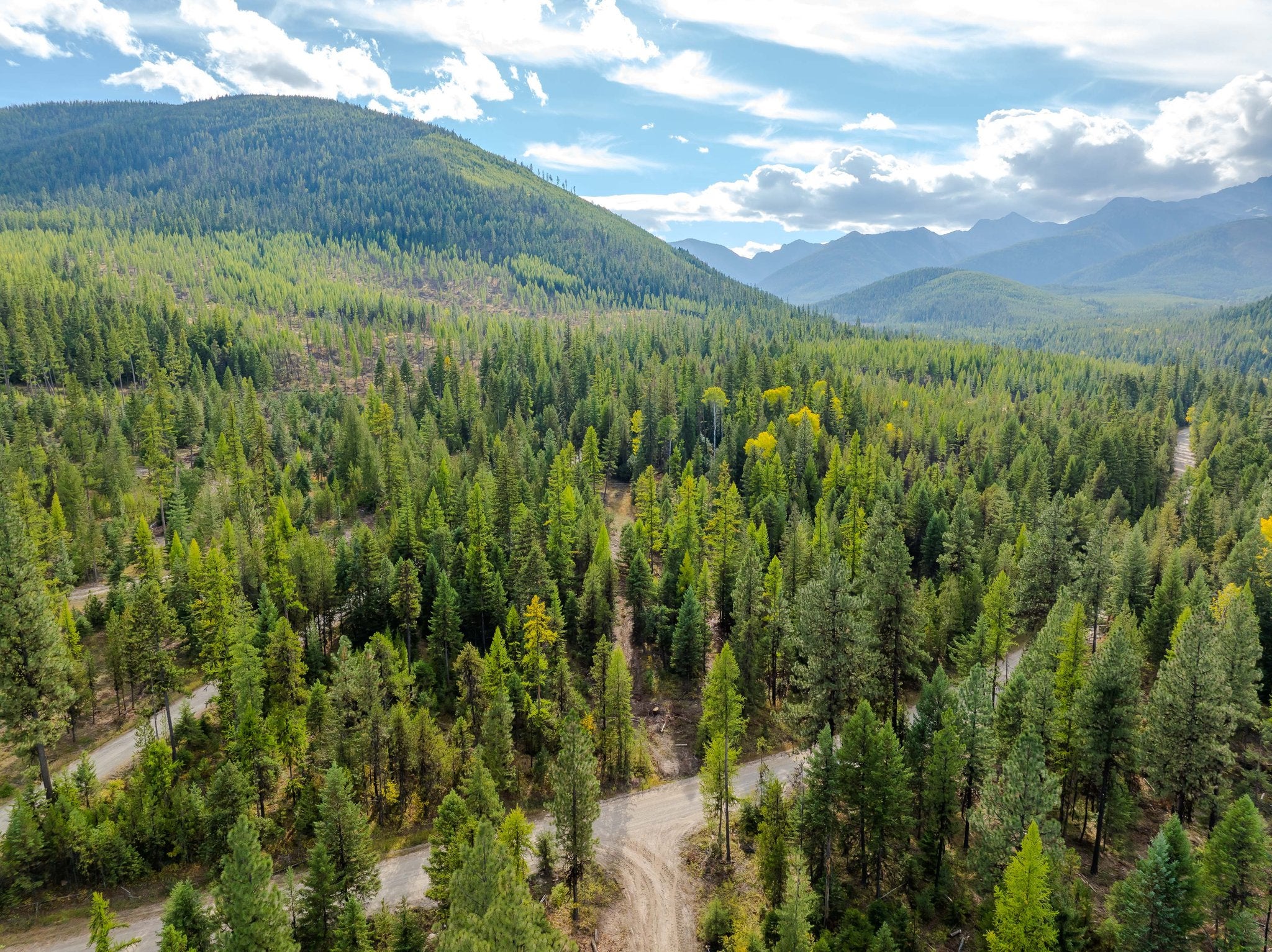 3036 Bear Creek Road