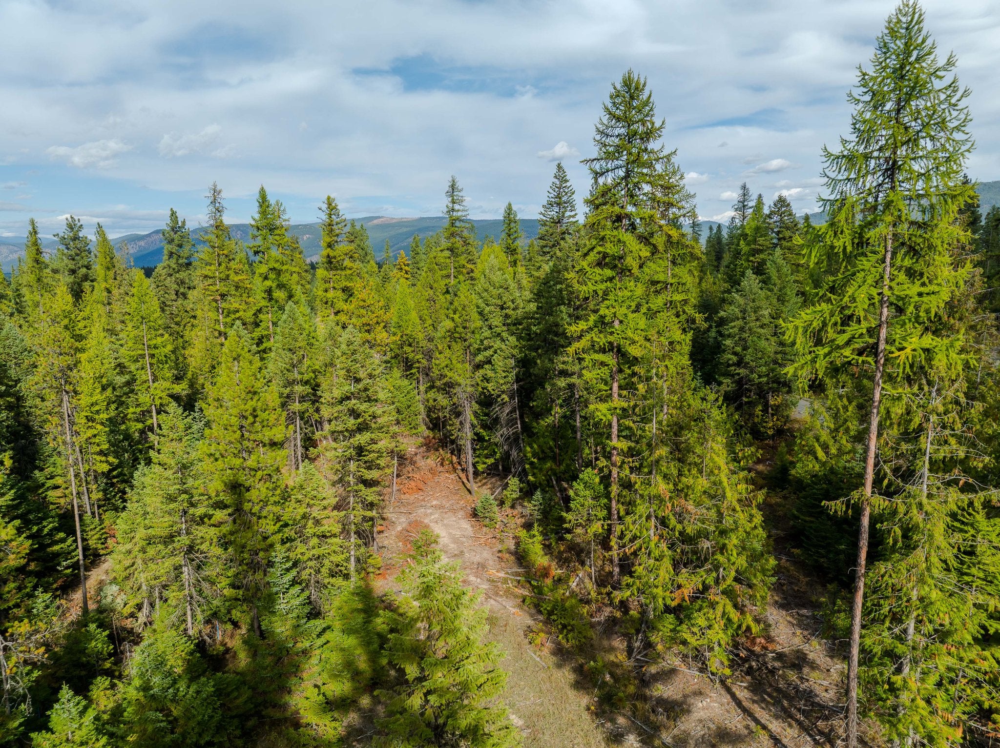 3036 Bear Creek Road
