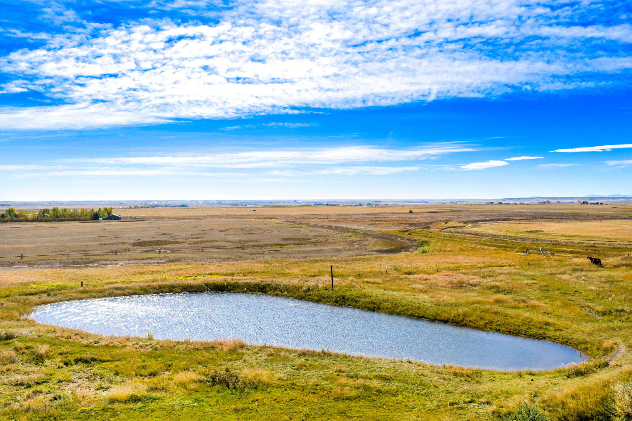 7793 Old Shelby Road