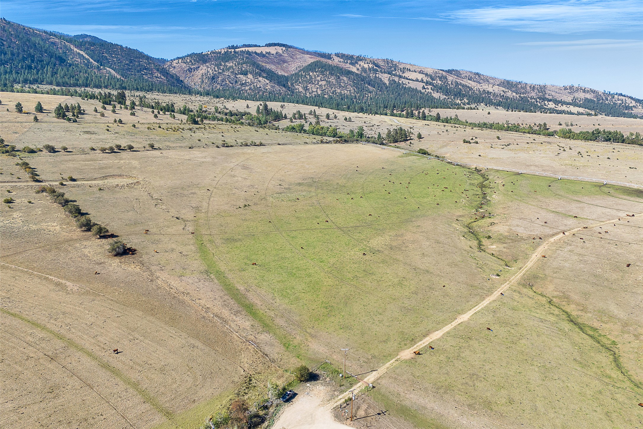 000 Willow Highlands