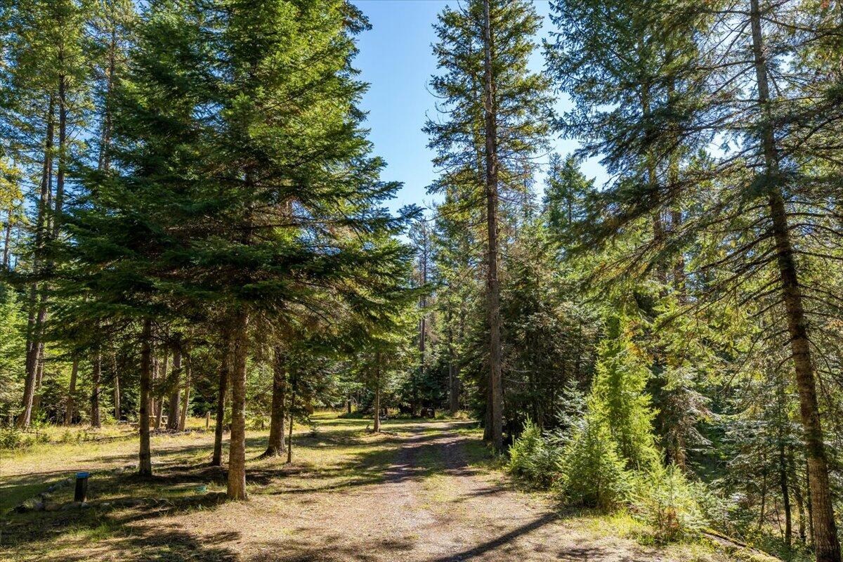 Bigfork, Montana 59911, United States, ,Land,Pending,76197