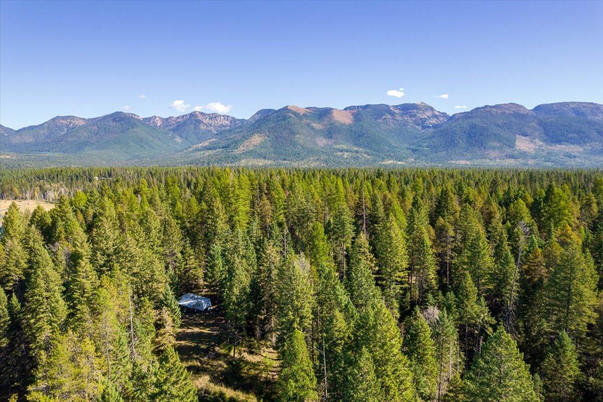 Bigfork, Montana 59911, United States, ,Land,Pending,76197