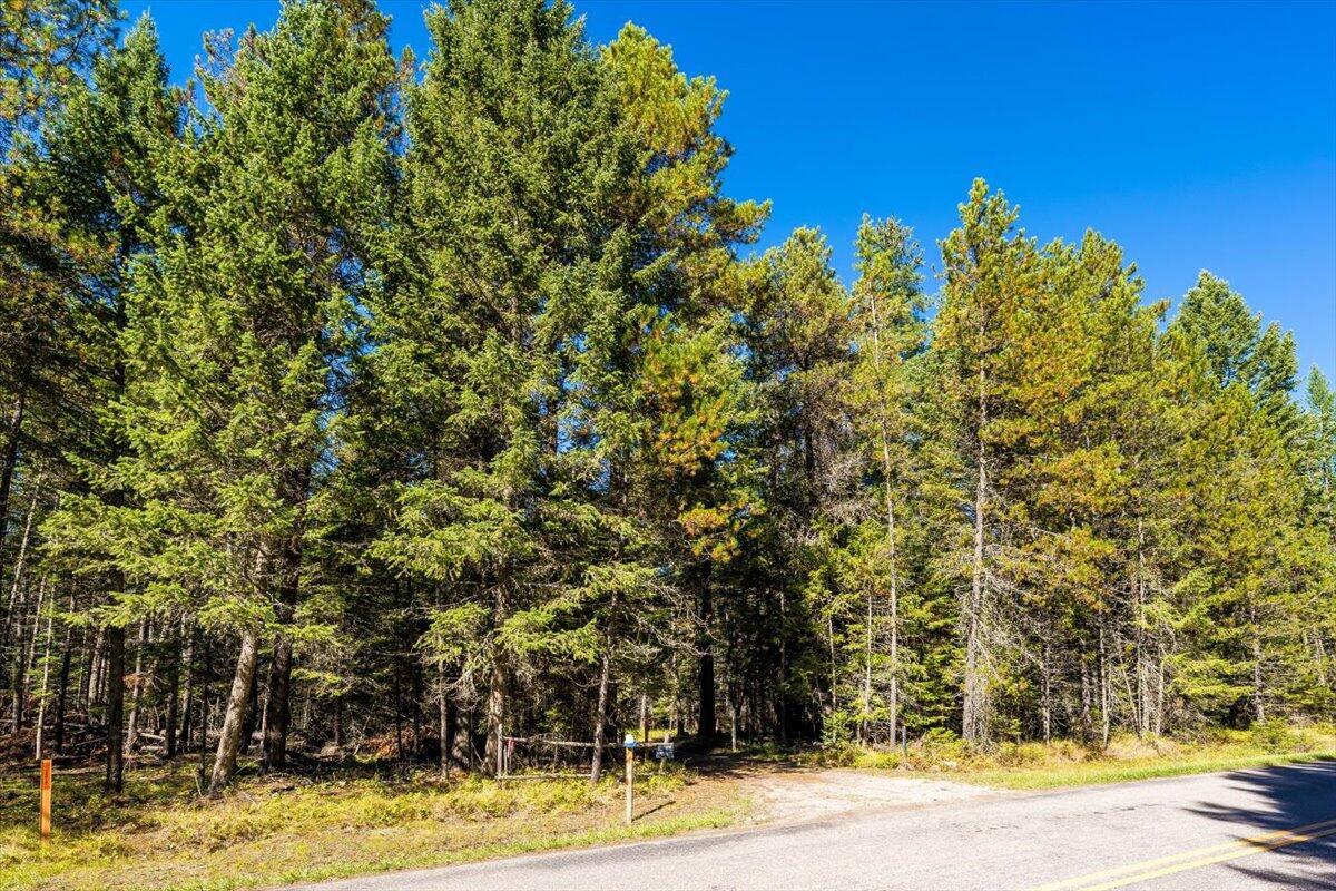 Bigfork, Montana 59911, United States, ,Land,Pending,76197