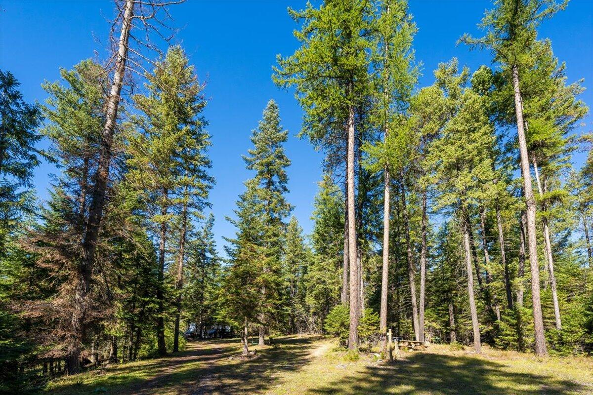 Bigfork, Montana 59911, United States, ,Land,Pending,76197