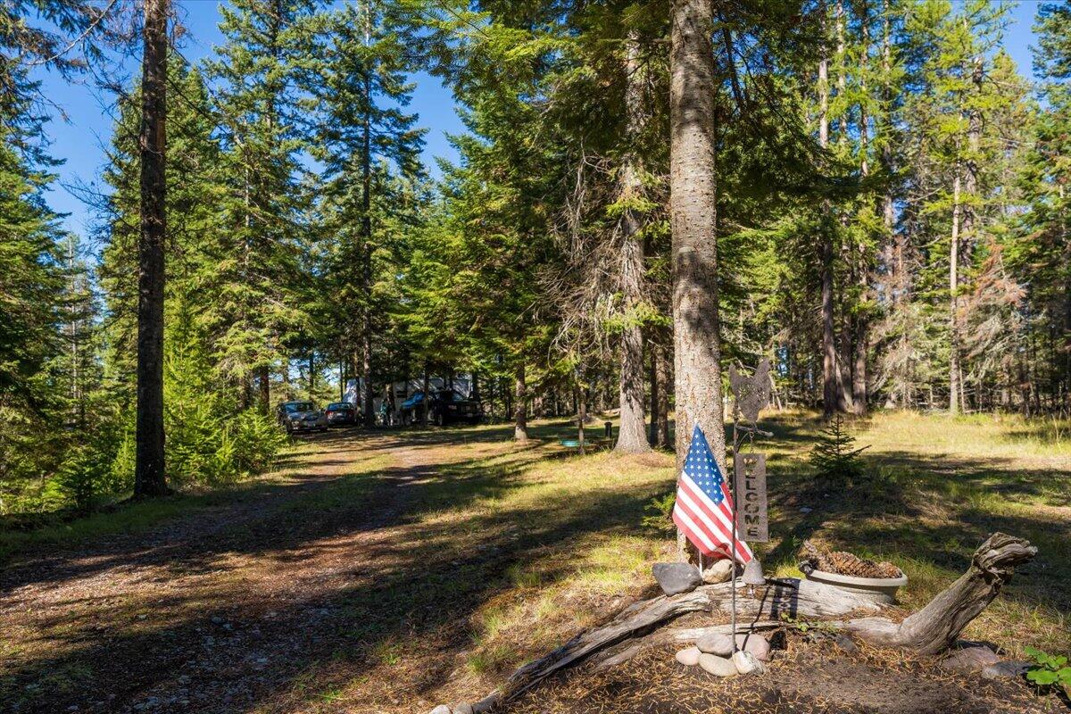 Bigfork, Montana 59911, United States, ,Land,Pending,76197