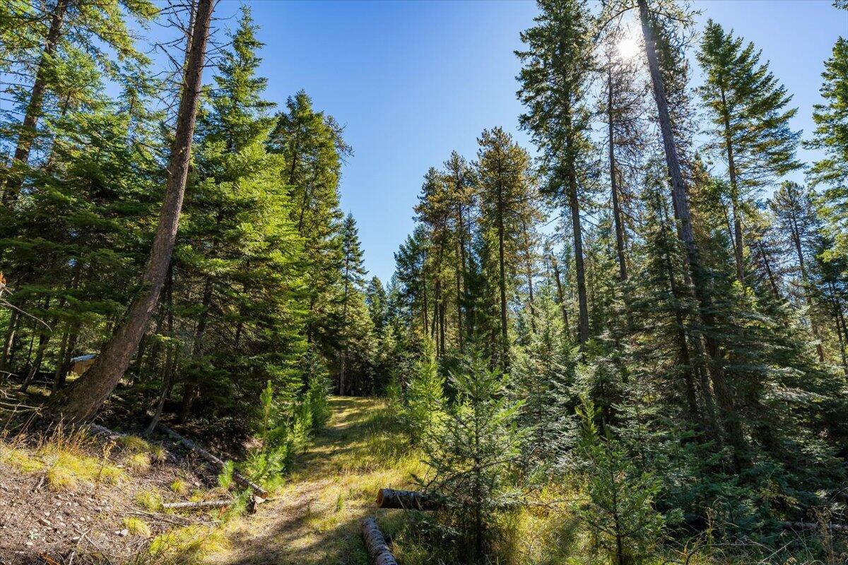 Bigfork, Montana 59911, United States, ,Land,Pending,76197