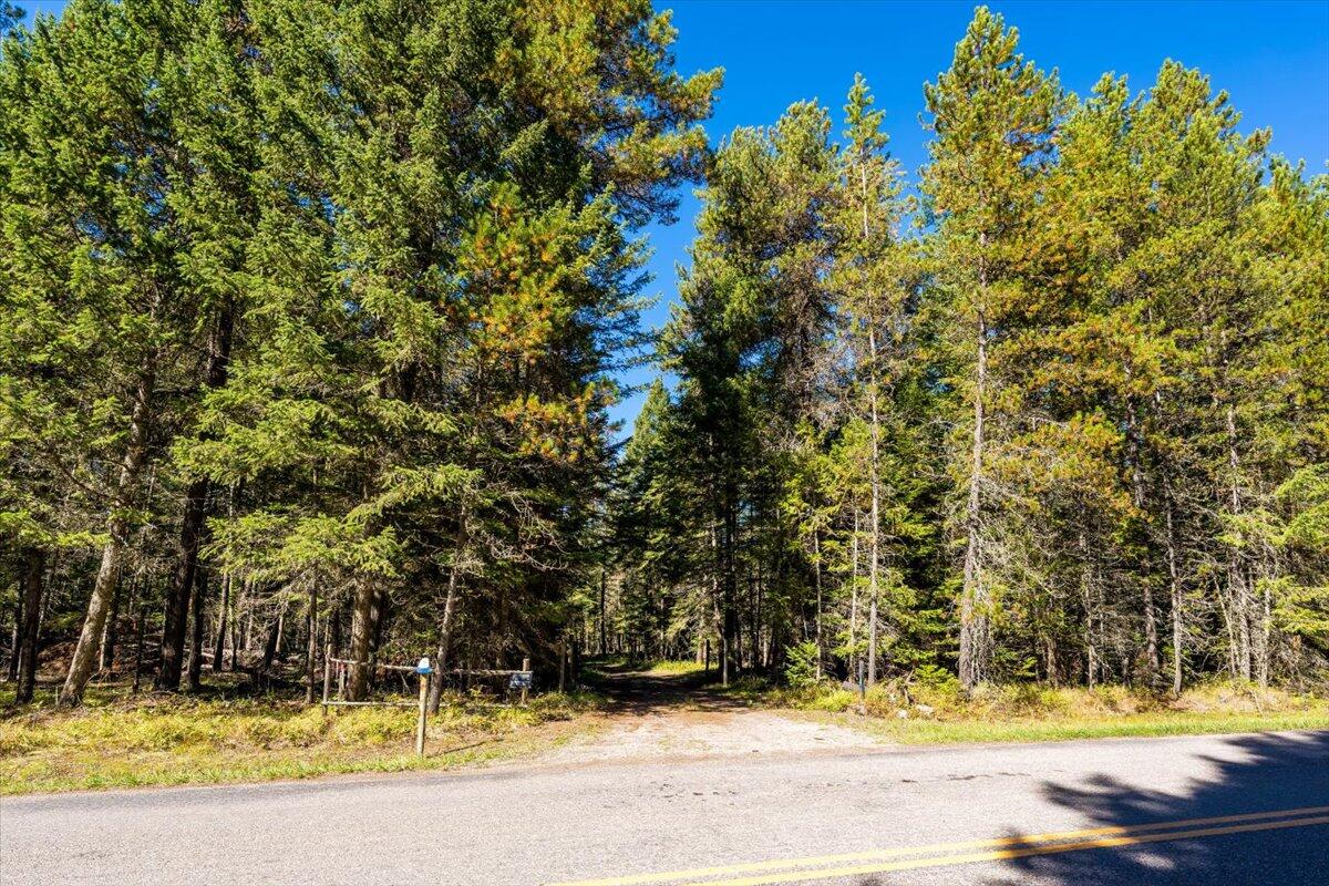 Bigfork, Montana 59911, United States, ,Land,Pending,76197