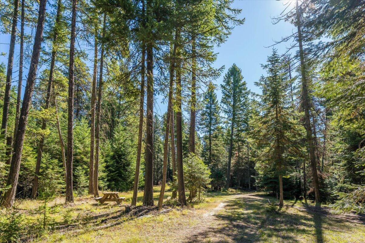 Bigfork, Montana 59911, United States, ,Land,Pending,76197