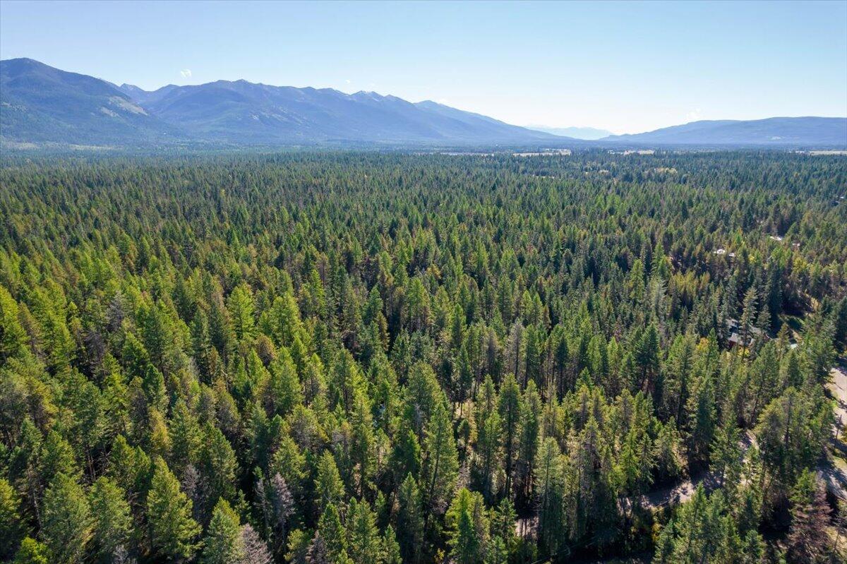 Bigfork, Montana 59911, United States, ,Land,Pending,76197