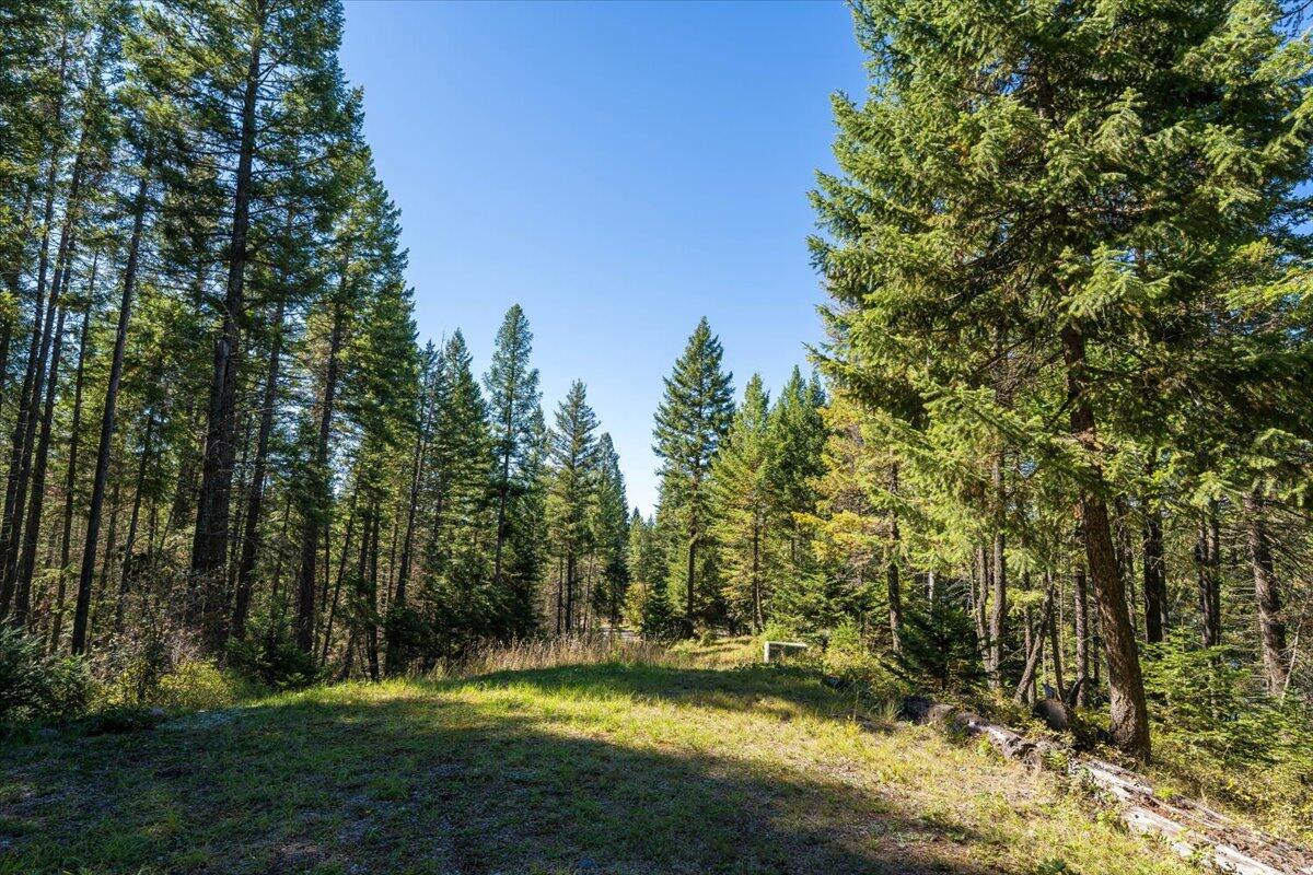 Bigfork, Montana 59911, United States, ,Land,Pending,76197