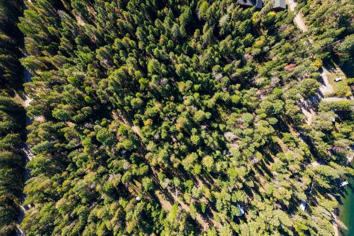 Bigfork, Montana 59911, United States, ,Land,Pending,76197