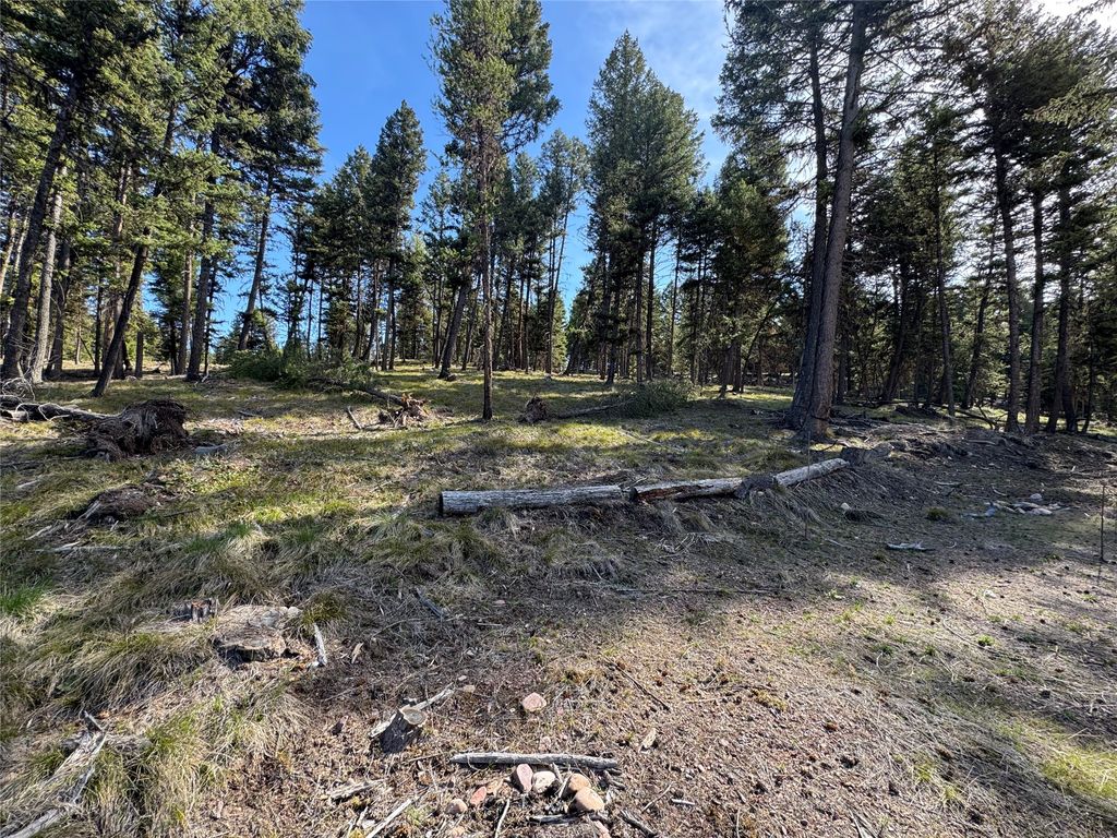 Photo of 349 Seclusion Point, Seeley Lake, MT 59868 (MLS # 30068928)