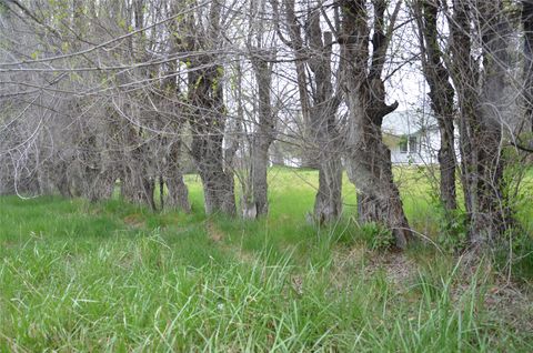 Tiny photo for 901 Sleeping Child Road, Hamilton, MT 59840 (MLS # 30068898)