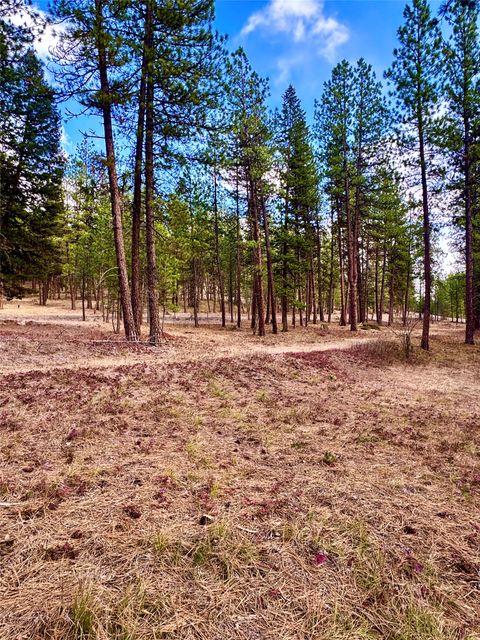 Tiny photo for 21481 Nine Mile Road #West Road, Huson, MT 59846 (MLS # 30068597)