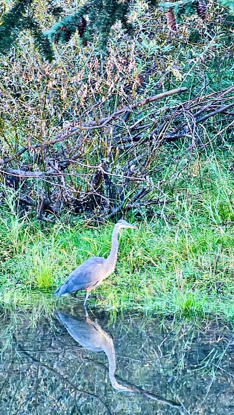 Tiny photo for 21481 Nine Mile Road #West Road, Huson, MT 59846 (MLS # 30068597)