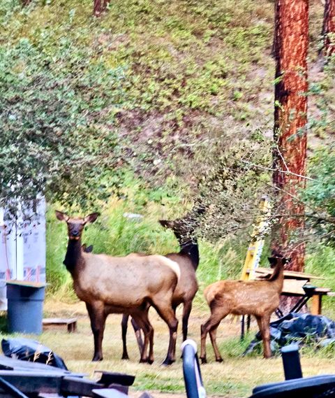 Tiny photo for 21481 Nine Mile Road #West Road, Huson, MT 59846 (MLS # 30068597)