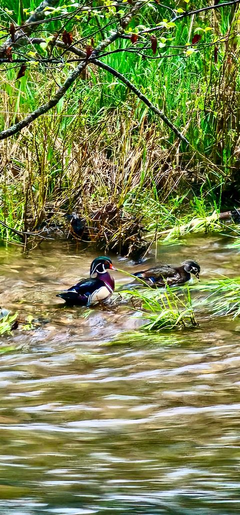 Tiny photo for 21481 Nine Mile Road #West Road, Huson, MT 59846 (MLS # 30068597)