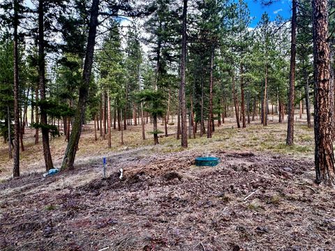Tiny photo for 21481 Nine Mile Road #West Road, Huson, MT 59846 (MLS # 30068597)