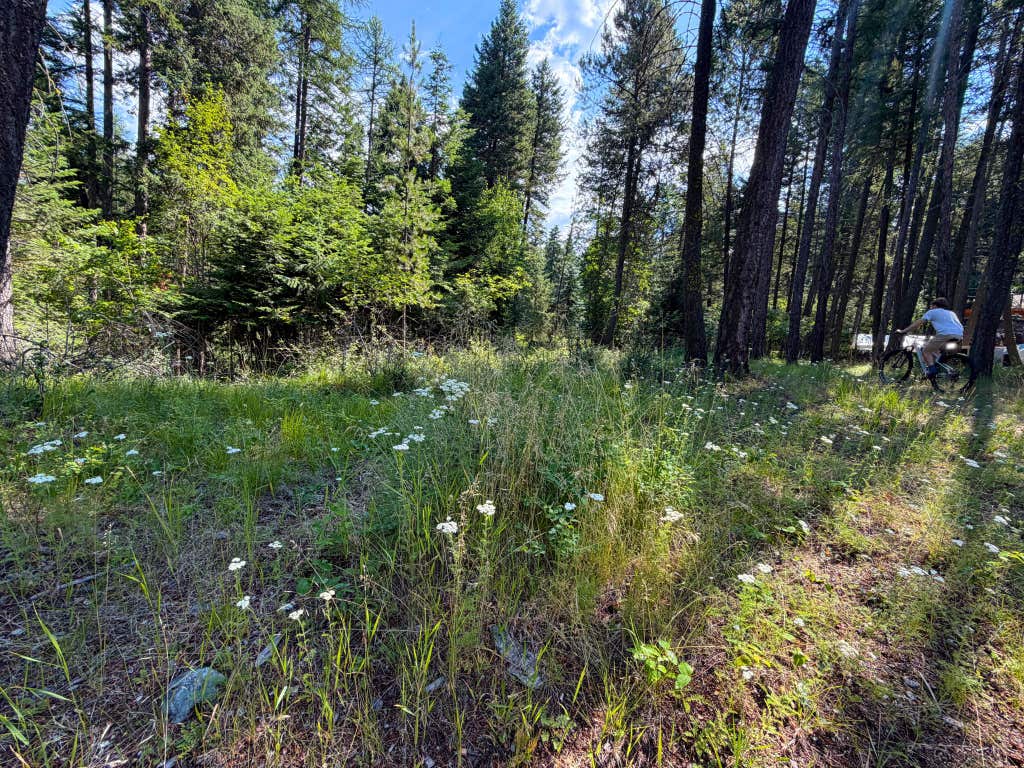 Photo of 2297 Houston Point Drive, Whitefish, MT 59937 (MLS # 30075109)