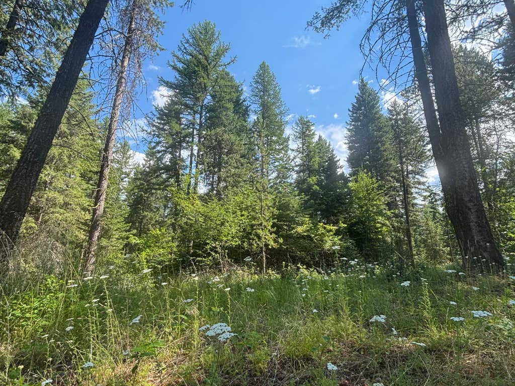 Photo of 2297 Houston Point Drive, Whitefish, MT 59937 (MLS # 30075109)