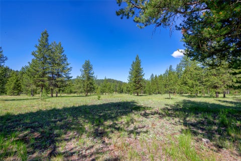Tiny photo for NHN Happy Acres Lane, Sula, MT 59871 (MLS # 30073441)