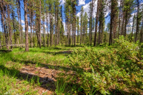 Tiny photo for NHN Happy Acres Lane, Sula, MT 59871 (MLS # 30073441)