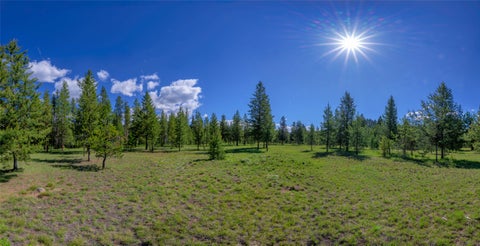 Tiny photo for NHN Happy Acres Lane, Sula, MT 59871 (MLS # 30073441)