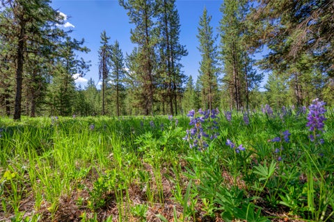 Tiny photo for NHN Happy Acres Lane, Sula, MT 59871 (MLS # 30073441)
