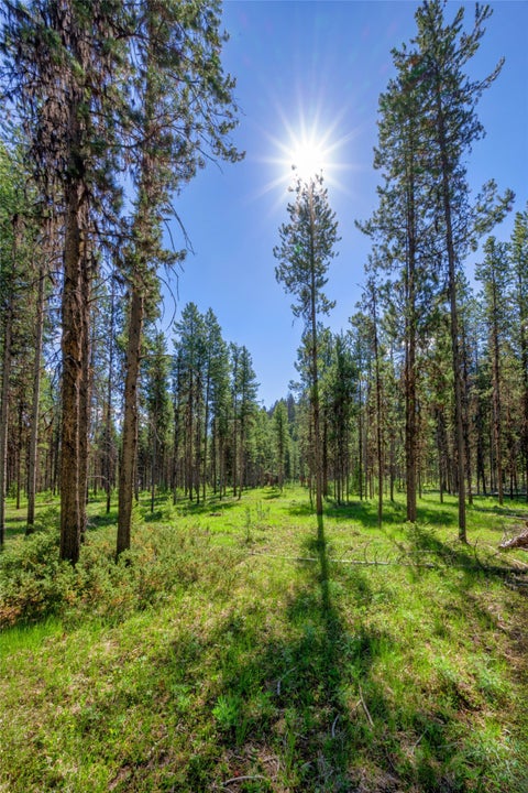 Tiny photo for NHN Happy Acres Lane, Sula, MT 59871 (MLS # 30073441)